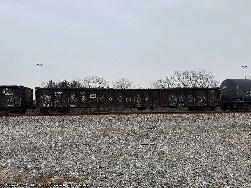 SCRF 393